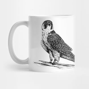 Peregrine Falcon in Nankin ink Mug